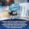 Miraclewipes For Paint (120-Pack)