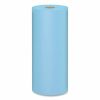 Shop Standard Paper Towels (12 Rolls/Carton, 55 Sheets/Roll)