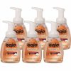 Premium Foam Antibacterial Handwash, Fresh Fruit Scent, 7.5 Fl. Oz. Hand Soap Pump Bottle (6-Pack)