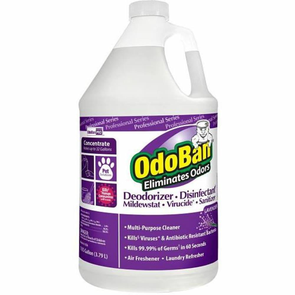 1 Gallon Deodorizing Disinfectant Concentrate (Lavender)