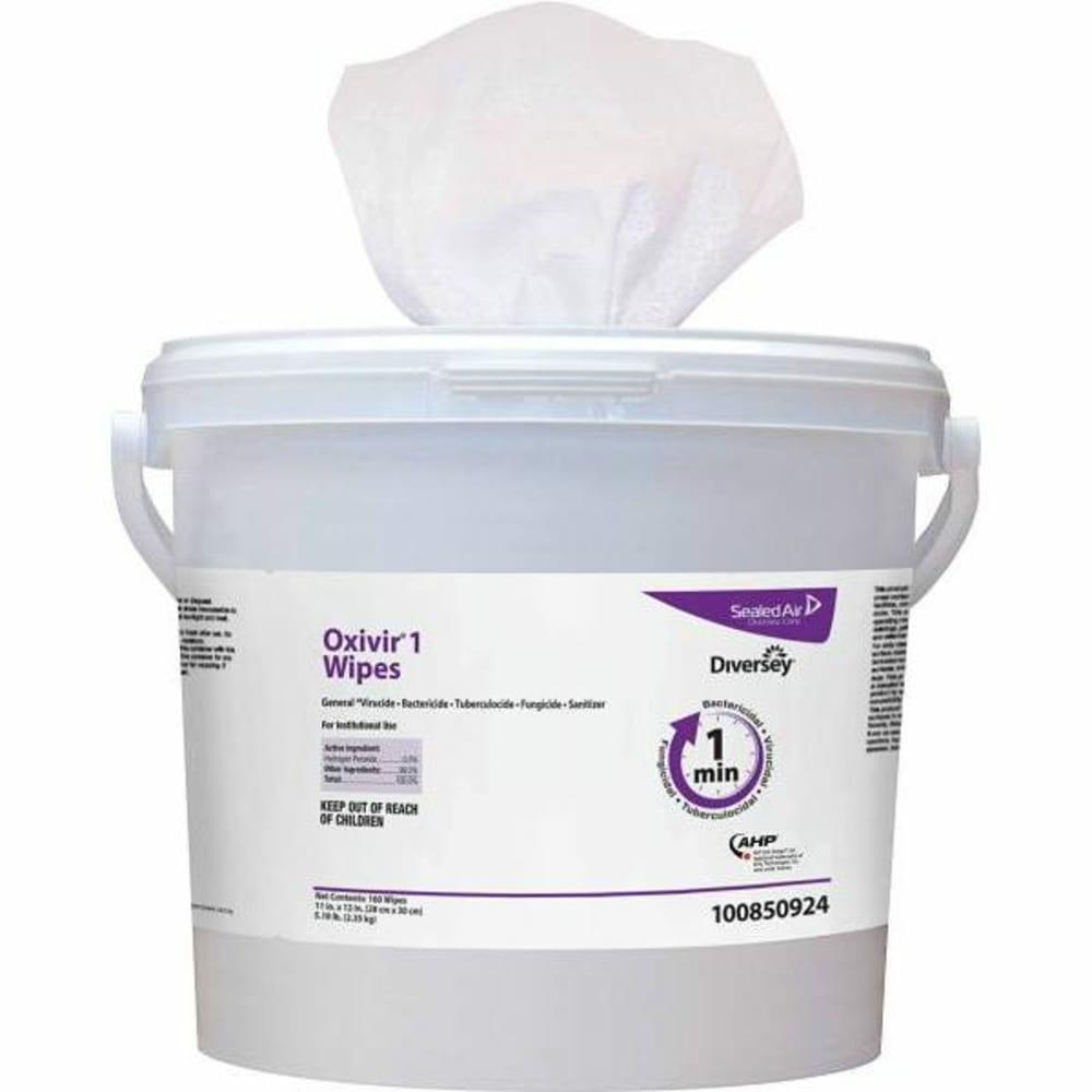 Pre-Wetted Disinfectant Cleaner Wipes (160-Count Wipes)